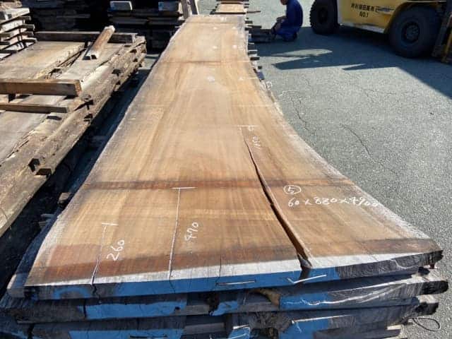 モンキーポッド　一枚板