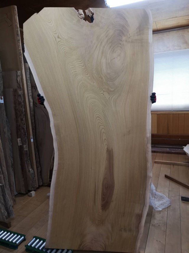 欅（ケヤキ）　一枚板