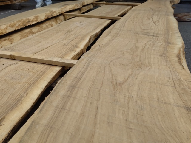 オリーブ　無垢材