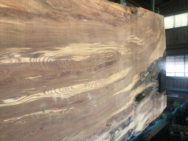 屋久杉（ヤクスギ）　無垢材