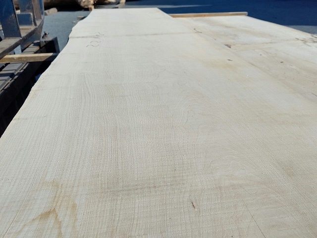 能登檜葉（ノトヒバ）　無垢材