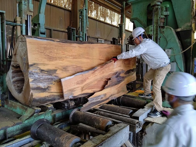 屋久杉（ヤクスギ）　無垢材