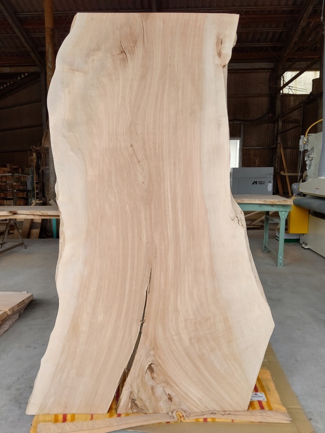 樺（カバ）　一枚板