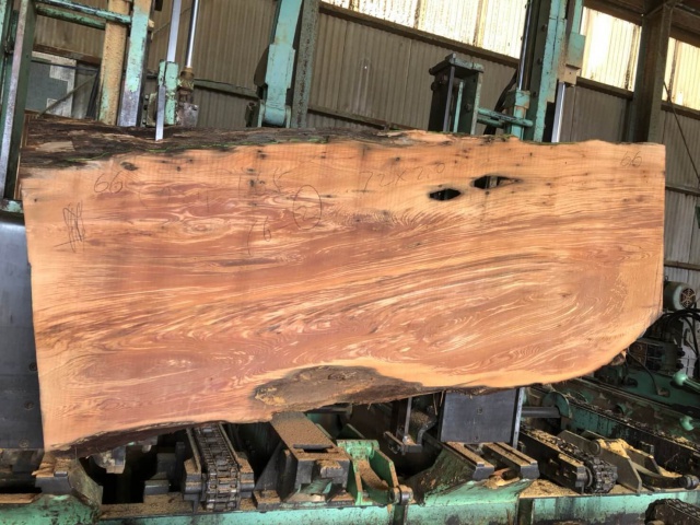 屋久杉（ヤクスギ）　無垢材