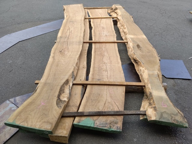 オリーブ　無垢材