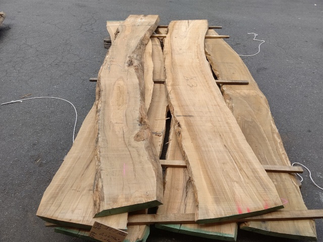 オリーブ　無垢材