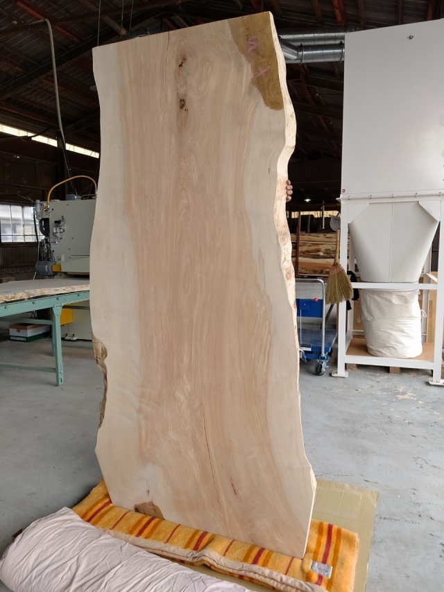 樺（カバ）　一枚板