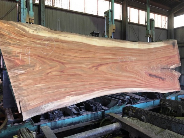 楠（クス）　無垢材