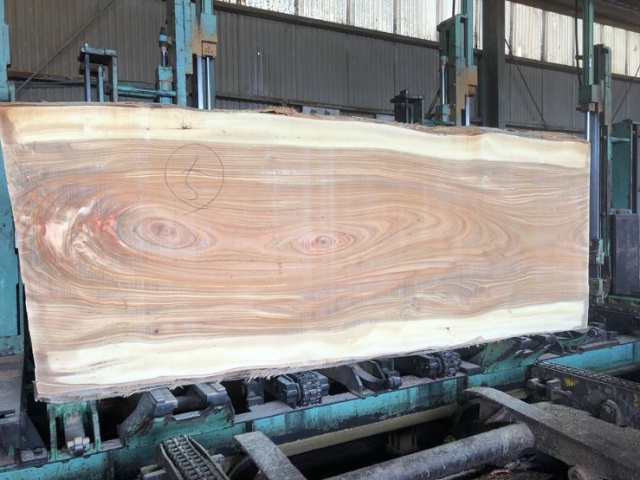 楠（クス）　無垢材