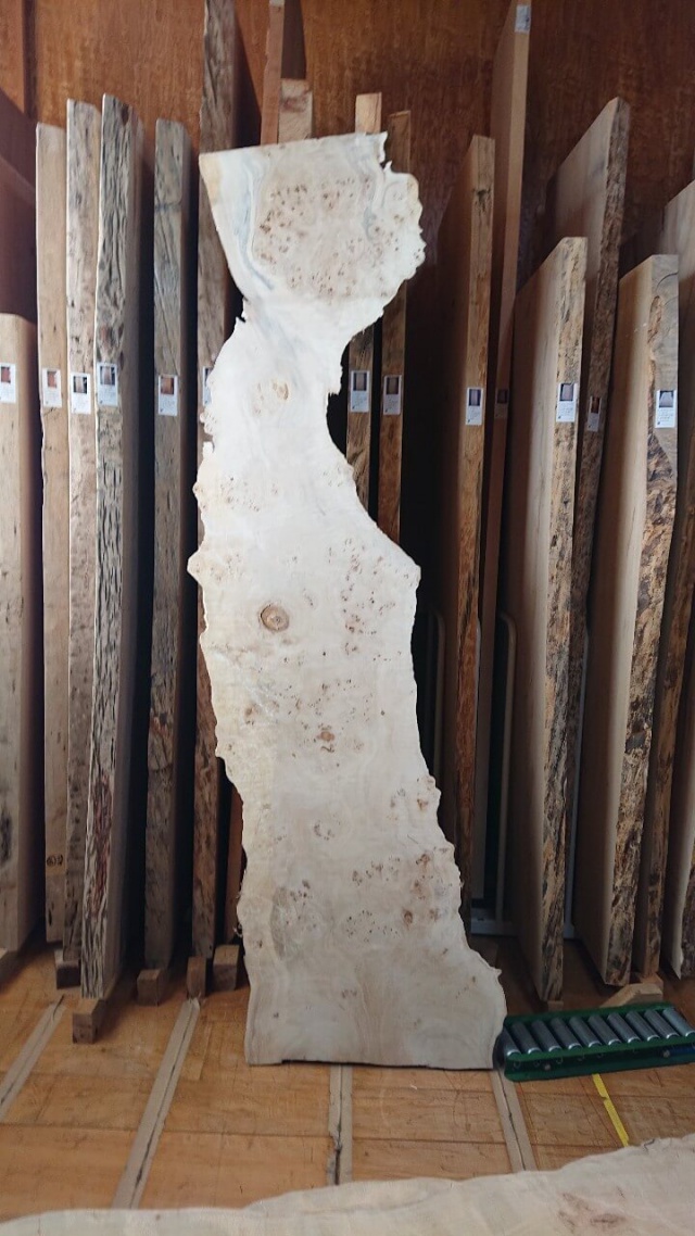 ポプラ　一枚板