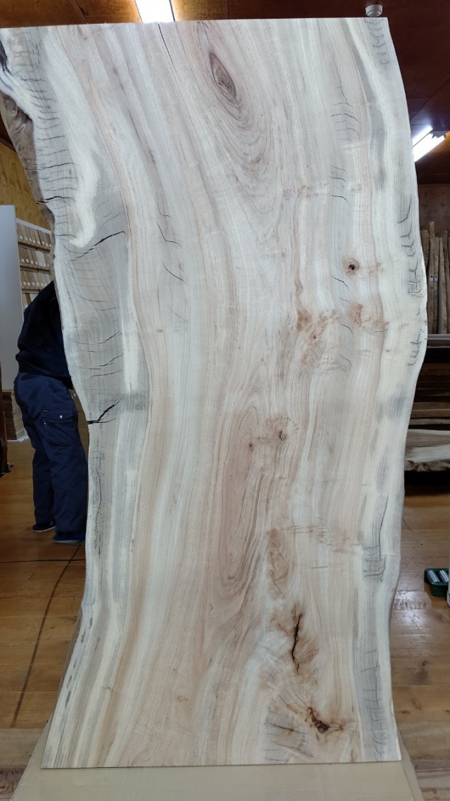 楠（クス）　一枚板