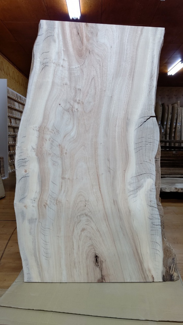 楠（クス）　一枚板