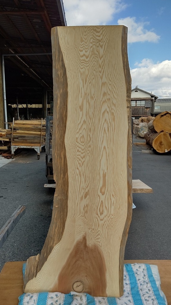 杉（スギ）　一枚板