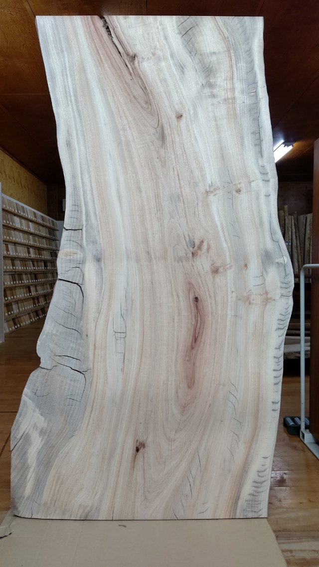 楠（クス）　一枚板