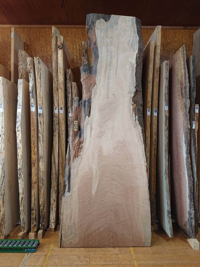 サペリ　一枚板