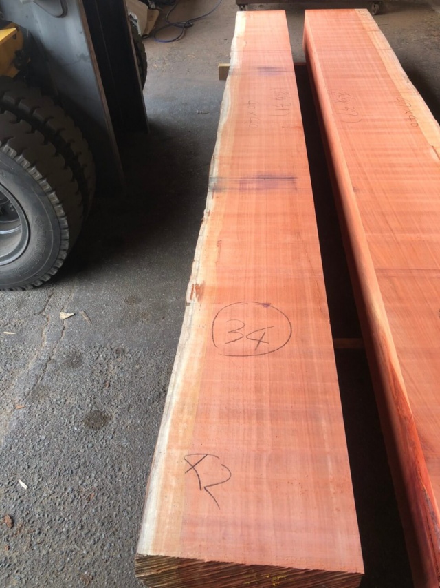 パドゥク　盤木