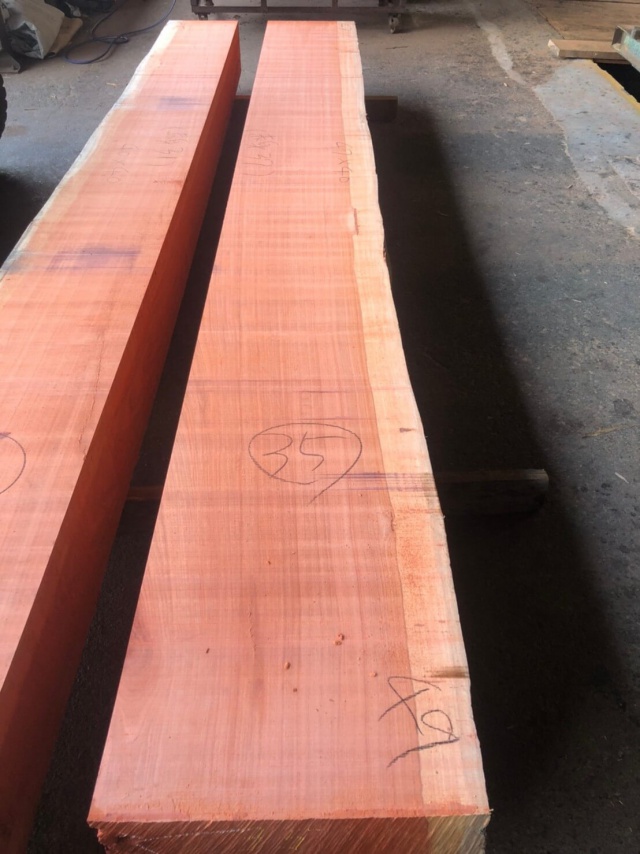 パドゥク　盤木