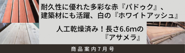 商品案内7月号