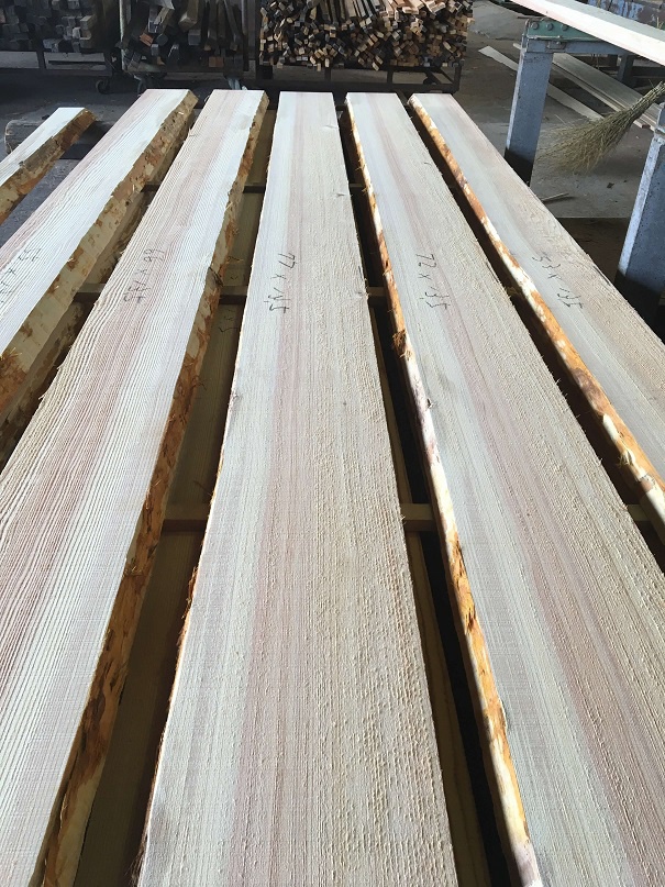 杉（スギ）　無垢材