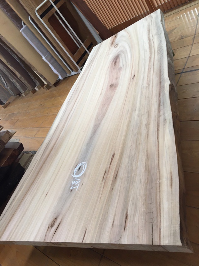 楠（クス）　一枚板