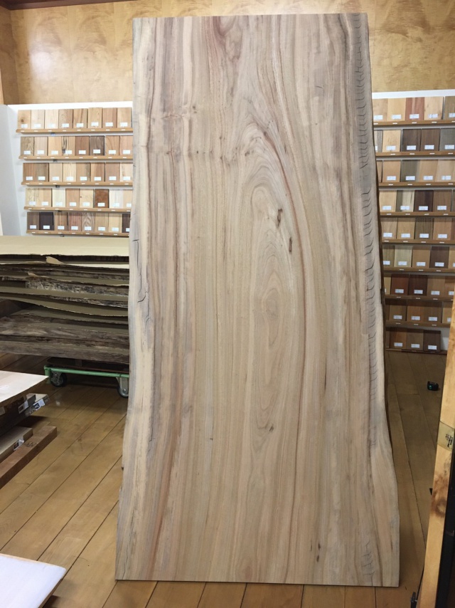 楠（クス）　一枚板