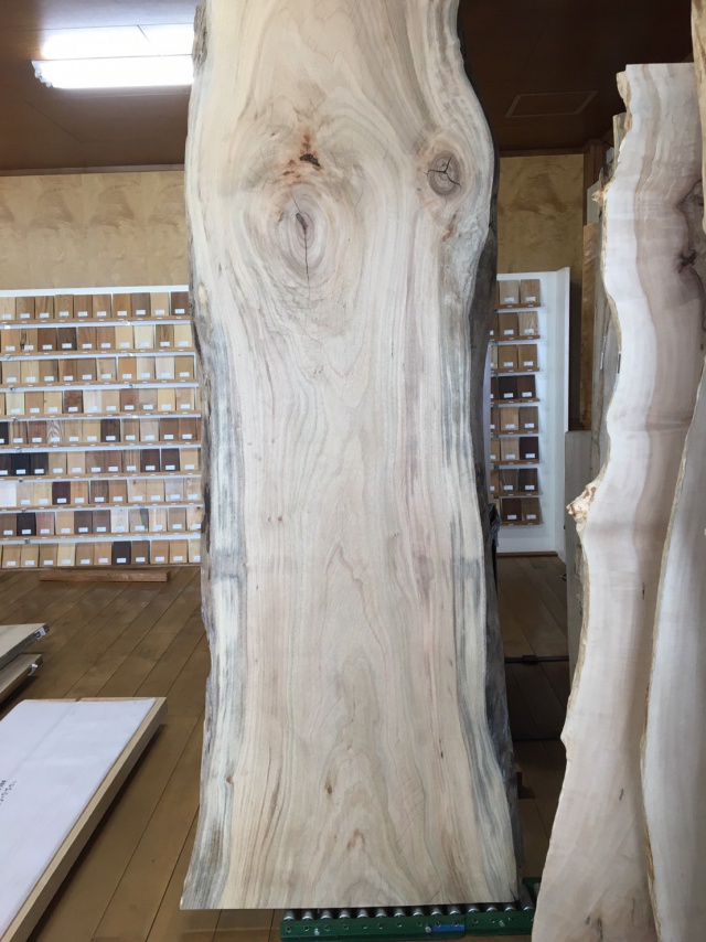 楠（クス）　一枚板