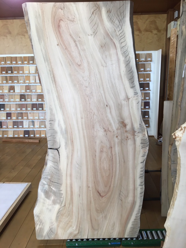 楠（クス）　一枚板