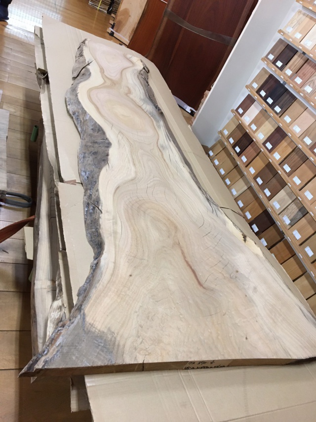 楠（クス）　一枚板