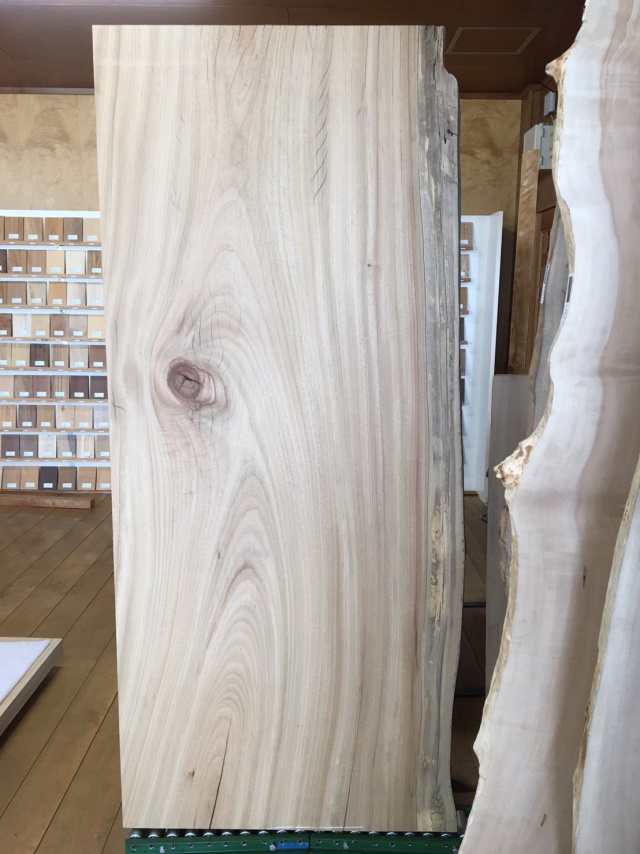 楠（クス）　一枚板