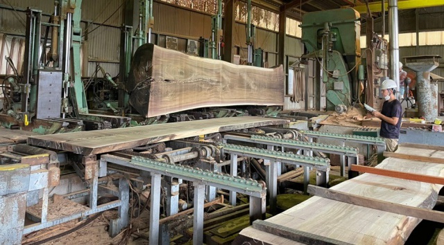 ウォールナット　無垢材