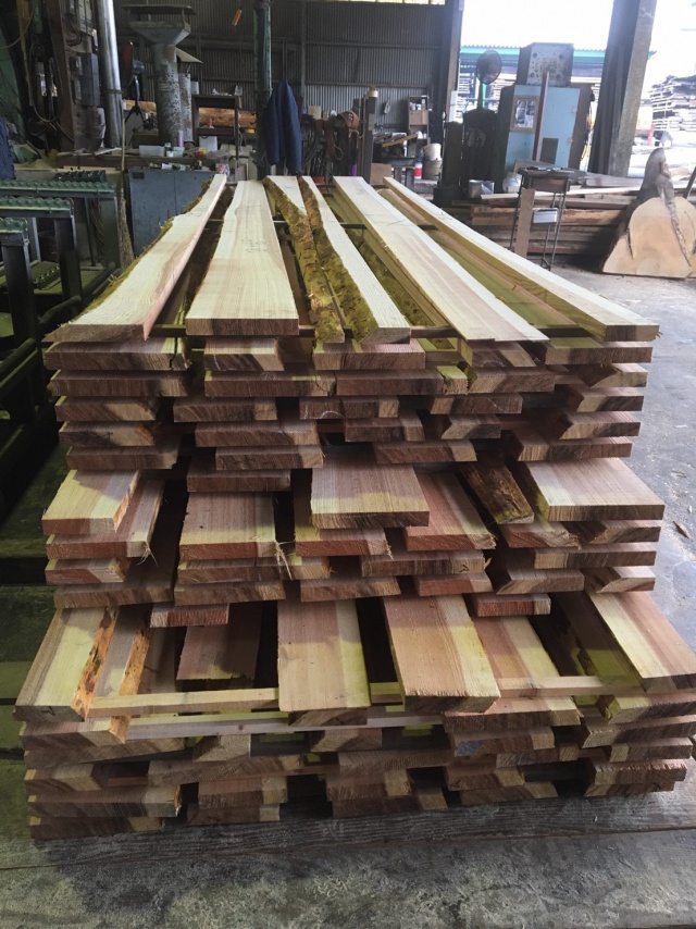 杉（スギ）　無垢材