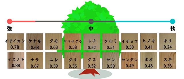国産木材 硬さ