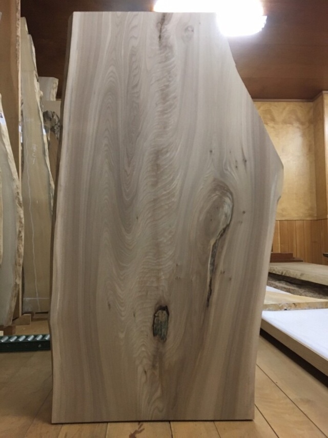 無垢一枚板 ニレ