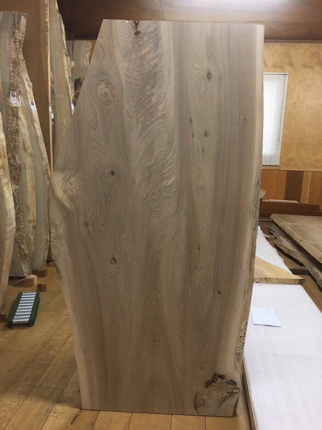 無垢一枚板 ニレ