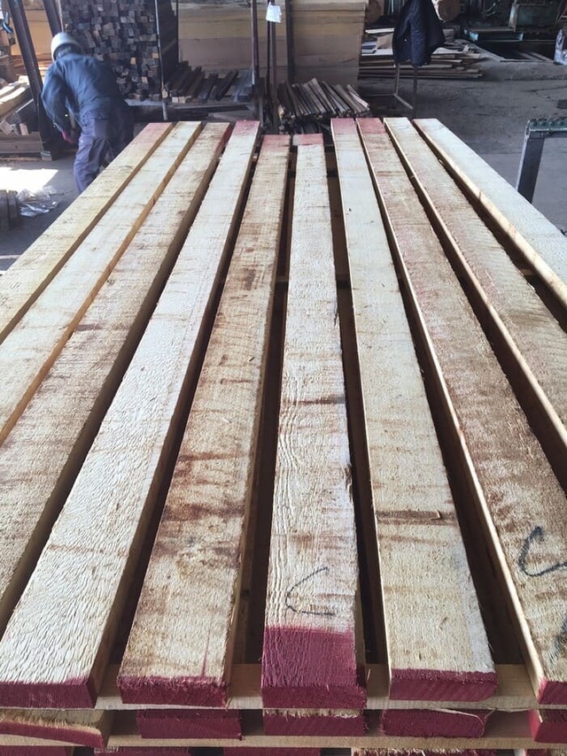 米檜葉（ベイヒバ）　無垢材