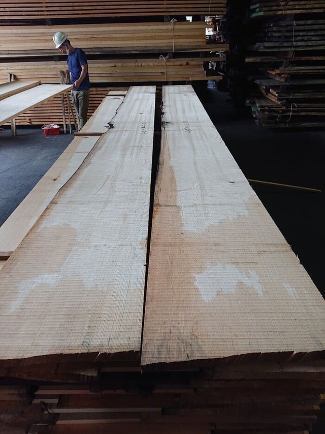 スプルース　無垢材