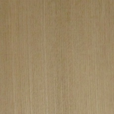楡(ニレ) 在庫