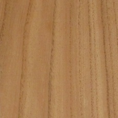 栴檀(センダン) 在庫