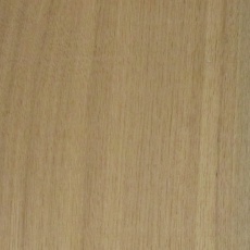 タモ 在庫