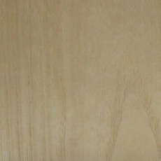 桐（キリ）