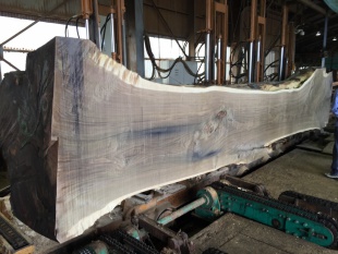 ウォールナット　製材