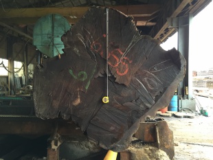 ウォールナット原木