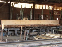 米栂（ベイツガ）　製材