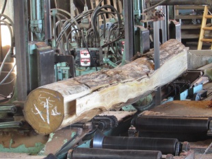 栗（クリ）製材