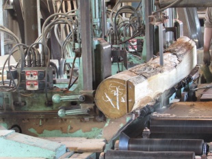 栗（クリ）製材