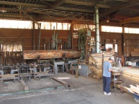 米栂（ベイツガ）　製材