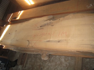 塩地（シオジ）　無垢材