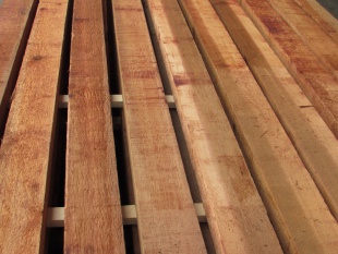 米杉（ベイスギ）　無垢材