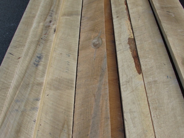 カーリーメープル　無垢材