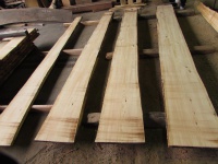 紅松（ベニマツ）　無垢材